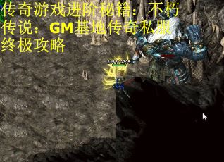 传奇游戏进阶秘籍：不朽传说：GM基地传奇私服终极攻略